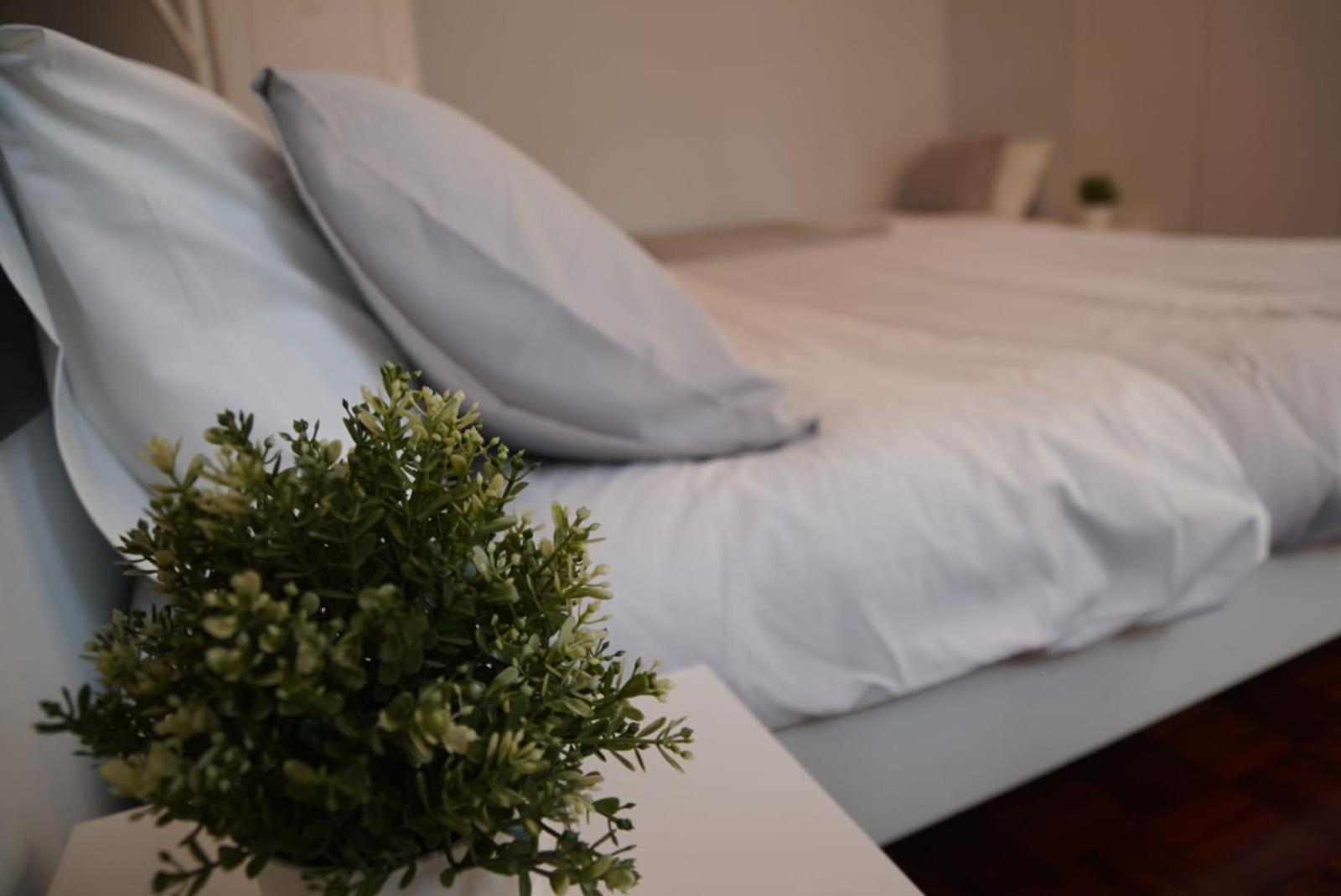 Bisengototo Homestay Lisboa Ngoại thất bức ảnh